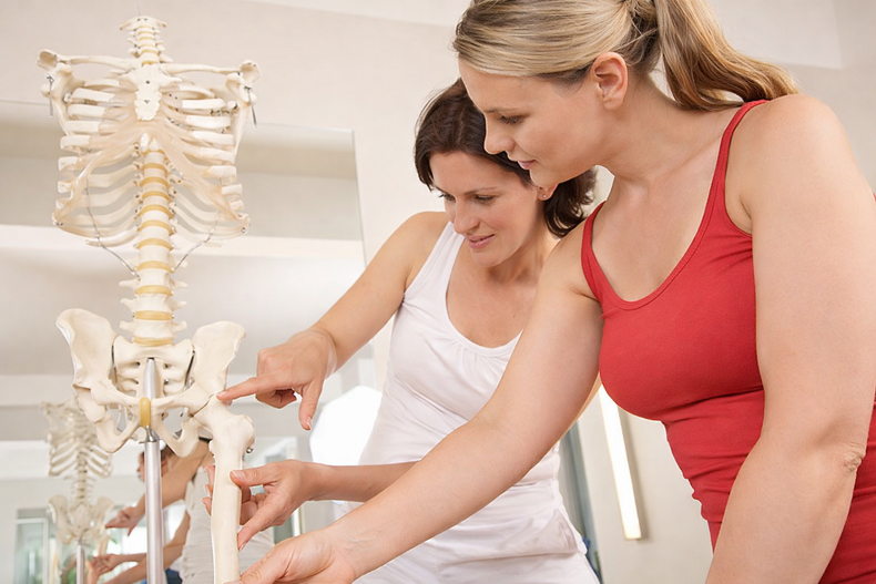 Physiotherapeutische Beratung mit Skelettmodell – Symbolbild
